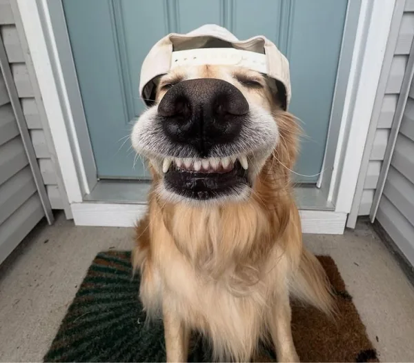 Coco, real photo