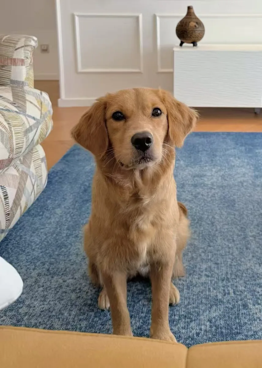 Copper, real photo