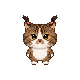 Mochi, pixel twin