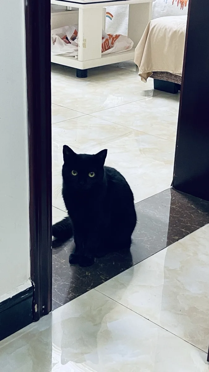Shadow, real photo